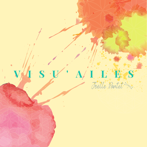 Visu'ailes logo