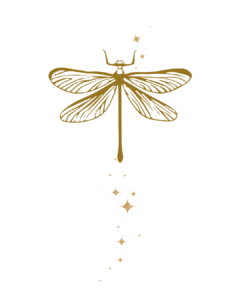 Les carnets de Lucette